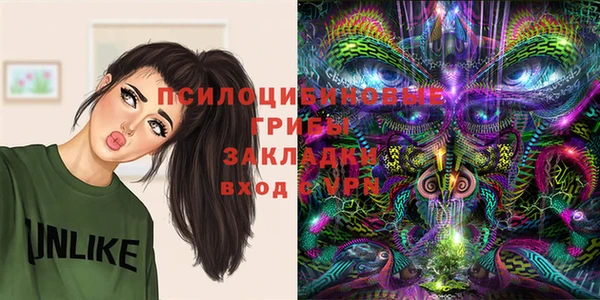 стафф Богородск