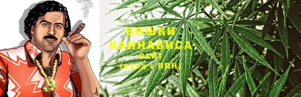 стафф Богородск