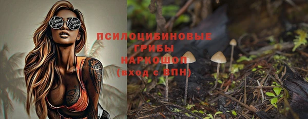 стафф Богородск
