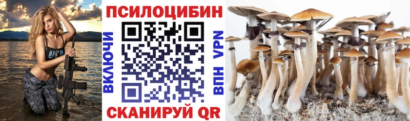 Галлюциногенные грибы Magic Shrooms Мезень