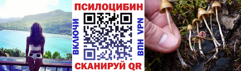 Псилоцибиновые грибы Psilocybine cubensis  наркошоп  Мезень 